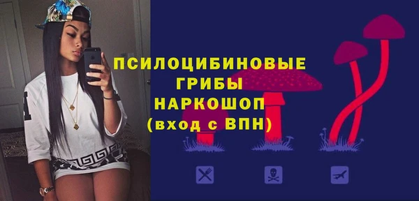 молекула духа Алексин