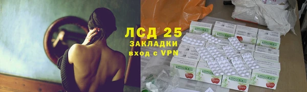 PSILOCYBIN Алзамай
