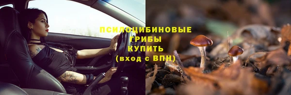 PSILOCYBIN Алзамай